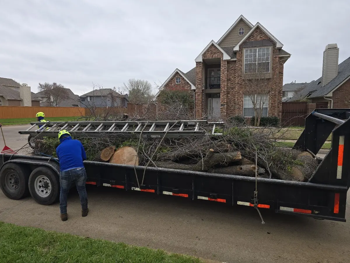 Expert Lot Clearing with proper safety equipment in Hunter